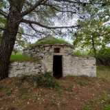E all'esterno l'incuria dello jazzo lascia a malapena intravedere un piccolo trullo